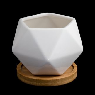 maceta-ceramica-blanca-geometrica