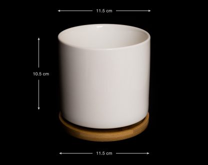 maceta-ceramica-blanca-cilindrica-grande-03