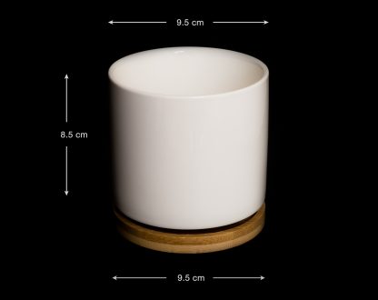 maceta-ceramica-blanca-redonda-mediana-04