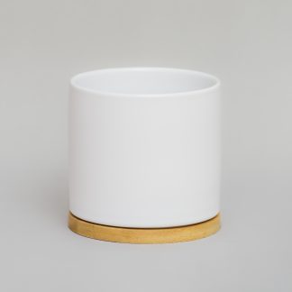 Maceta-ceramica-cilindrica-chica-blanca-con-plato-de-madera