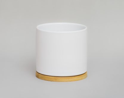 Maceta-ceramica-cilindrica-chica-blanca-con-plato-de-madera