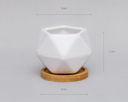 Maceta-ceramica-geometrica-blanca-plato-madera