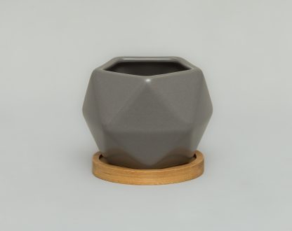 Maceta-ceramica-geometrica-negra-suculentas-cactus-plato-madera